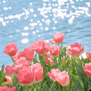 女扒开腿㊙️让人尿爽
